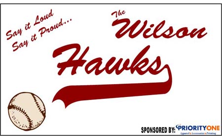 hawks-banner