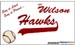hawks-banner